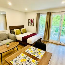 Swimming Pool Spa - Condo Mont Tremblant 2