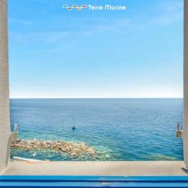 Nidoo TerreMarine