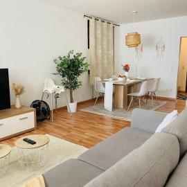 Entire Flat for you Schwetzingen,Mannheim & HD