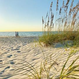 Sanibel में, होटल Sanibel Siesta on the Beach