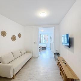 Spacieux appartement une chambre