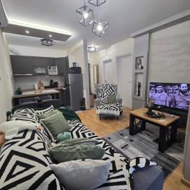 Apartmani Djuric Grey