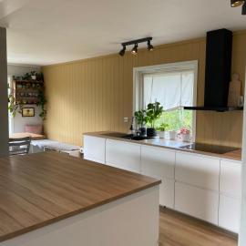 Fult utstyrt Enebolig, hotel di Iveland