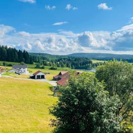 Gemütliche Wohnung mit schöner Aussicht, hotel i Haidmühle