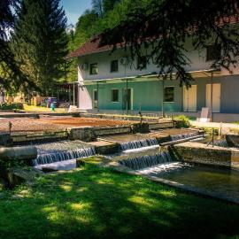 Stara ribogojnica & Pohorska postrv, hotel sa Ruše