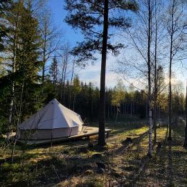 Luxe tent met uitzicht op het bos en met Sauna en hottub, hotel 