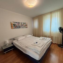 1BR near lake - Joy ST3 R