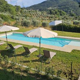 Agriturismo Verde Oliva