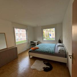Habitacion en Lausanne, hotel in Lausanne