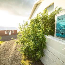 North Inn - Guesthouse and Cabin โรงแรมในอาคูเรย์รี