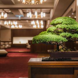Shinzan Kinosaki, hotel in Toyooka