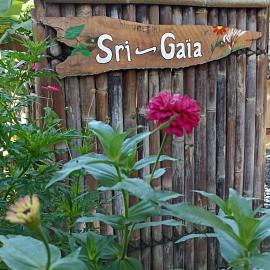 Sri Gaïa Yogyakarta