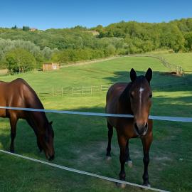 B&B Freedoms Reins Farm, hotel di Casalborgone