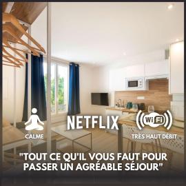 TAJ MAHAL - Self Checkin Automatique - Netflix - 15 Min de Giverny