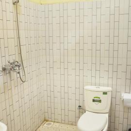 Green Pearl Adventures, hotel in Kikorongo