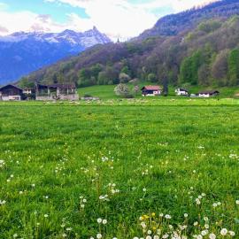 Mountain View, hotelli kohteessa Monthey