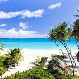 Tropical Apartment with private patio, Walk to Beaches, Shops and Cafes