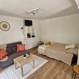 studio des Castors, hotel em Condrieu