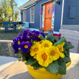 Blueberry Tiny Home, hotel a Kilmurry McMahon