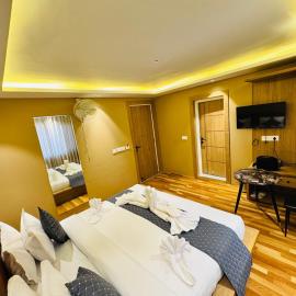 Hotel Pashm Home、シュリーナガルのホテル