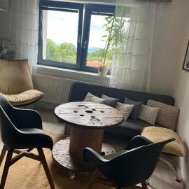Apartmán pod lesem, hotel in Hazlov
