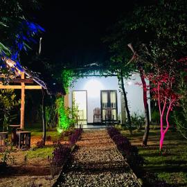 Banana Shade Cottage
