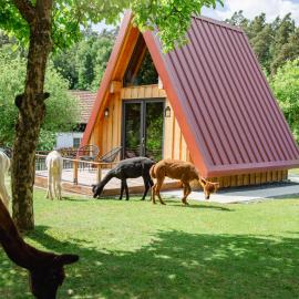Pirker Anden Chalet, hotel u gradu Pirk