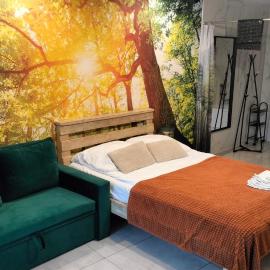 Apartamenty w Puszczy, hotel u gradu 'Augustów'