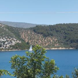 Pansofia