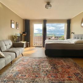 #3 Studioapartment mit Loreleyblick direkt an der schönsten Etappe des Rheinsteigs, hotel i Patersberg