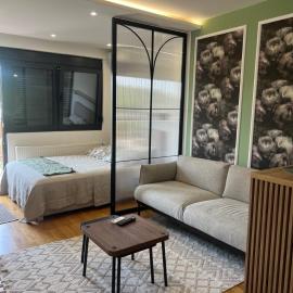 Studio Crnjanski, hotel v destinácii Jagodina