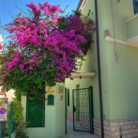 La Casa Del Nonno, hotel a Campomarino