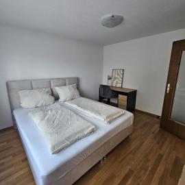 Apartment 2 Hügelruhe Mandach - 25 m2 - 1 Schlafzimmer - Ferien - Business, Hotel in Böttstein
