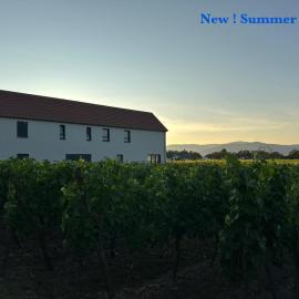 COLMARandCo au coeur des vignes, hotel in Ingersheim