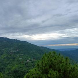 Palm Tree Paradise Retreat by Splendid Retreat Hotels, hotel din Kasauli