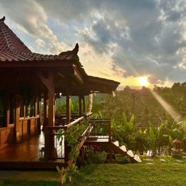 Rumah Pacung, hotel di Penebel