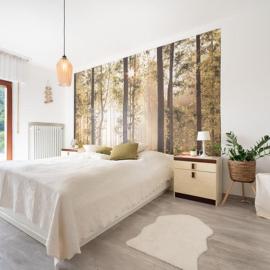 Ferienhaus Burgblick, hotel v destinácii Hürtgenwald