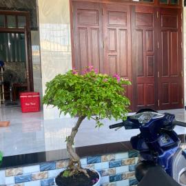 Phúc Long Hiwinwin, hotel in Chợ Phước Hải