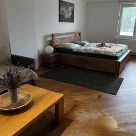 Apartmány MonTexas, hotel in Staměřice