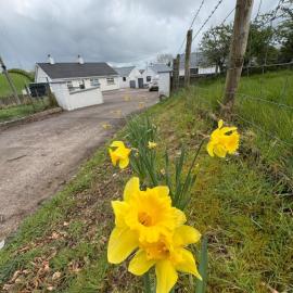 Ma Monaghan's Cosy Cottage County Tyrone, hótel í Pomeroy