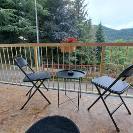 Dinky's apartment with a balcony overlooking the woods