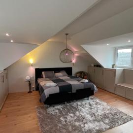 A whole Family expat house with AC, garden, close to Efteling