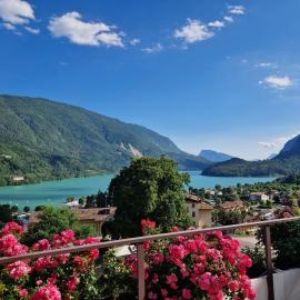 Hotel Excelsior, hotel a Molveno