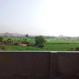 Shiva Homestay Hampi