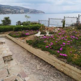 BoLeTiS: Xiropigado şehrinde bir otel
