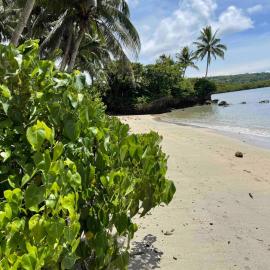 Namawa Beachfront Honeymoon Villa, hotel v mestu Savusavu