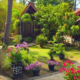 Cocolagoon eco Resort Nilaveli, hotel din Trincomalee