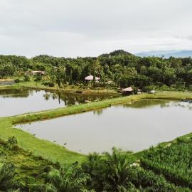 The Farm, hotel a Paya Rewak