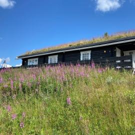 Hytte med panoramautsikt i Uvdal, hotell i Nørdstebø