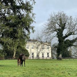 Lismacue House